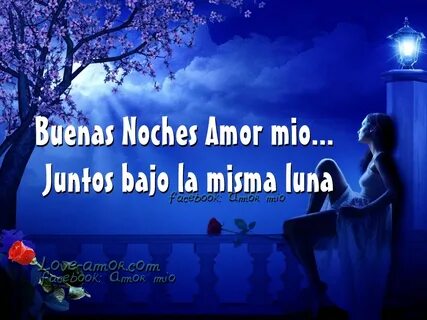 Frases De Amor Mio Frases Motivacionales