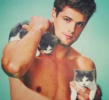 Instagram account featuring hot dudes with kittens is qualit