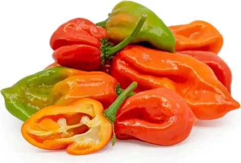 Aji Dulce Chile Peppers Information, Recipes and Facts