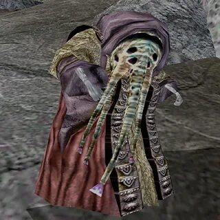 The Elder Scrolls III: Morrowind Interesnoeinfo