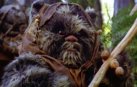 Ewok Names Related Keywords & Suggestions - Ewok Names Long 