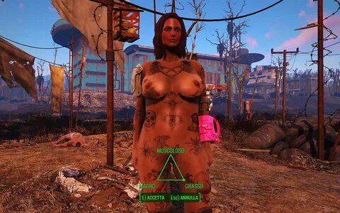 Скачать Fallout 4 "18+ Большая грудь и попа" - Скины