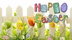 Happy Easter Eggs Grass Flowers Fence Spring Hd Wallpaper