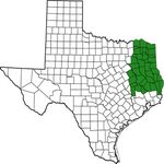 File:EastTexas.svg - Wikipedia