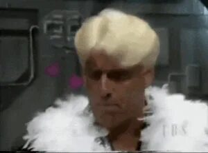 Ric flair GIF - Find on GIFER