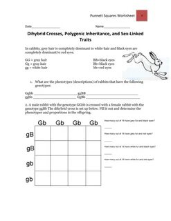 Sex-Linked Traits, Polygenic Inheritance, and Dihybrid Cross