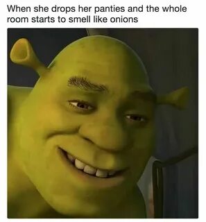 The 100 Funniest "Shrek" Jokes In The History Of Humanity Sh