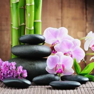 фото обои бамбук и ветка орхидеи в камн - Mobile Legends