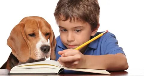 Are Your Kids Heading Back to School? Read our Pet Safety Ti