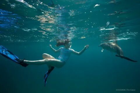 Miranda Cosgrove Swiming With Dolphins in Bahamas, March 201