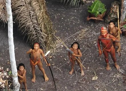 Amazon tribe face extinction: Pictures of life in depths of 