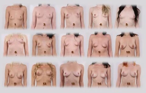 Different types of sexy boobs