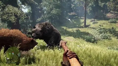 Far Cry Primal Brown Bear Vs Cave Bear - YouTube