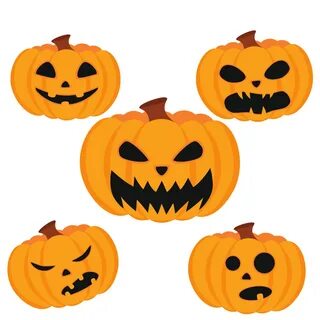 Download free photo of 5,five,pumpkins,orange,white - from n