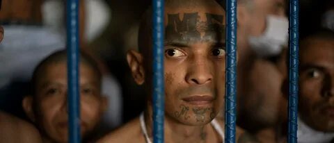 3 Virginia Men Charged With Murder Linked With MS-13 Gang Vi