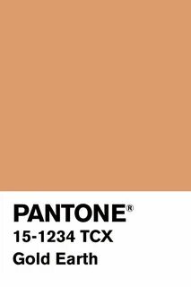H n n H ? 🦠 on Twitter Pantone colour palettes, Pantone colo