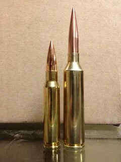 300 Norma Vs 300 Win Mag All in one Photos