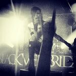 Black Veil Brides Is My Life: The Cruch Of The Wild Ones Tou