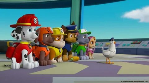 Paw Patrol - S6E13 - Pups Save a Freaky Pup-Day/Pups Save a 