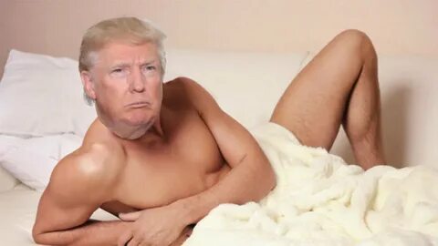 Donald Trump softcore porn appearance - Harriet Sugarcookie