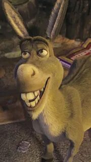 Donkey From Shrek Smiling - Smile Funny Donkey Pictures Novo