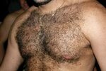 Bears Chest Hair Related Keywords & Suggestions - Bears Ches