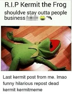 RIP Kermit the Frog Shouldve Stay Outta People Business Last