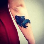 Betta fish - Pari corbitt Tattoo designs and meanings, Tatto