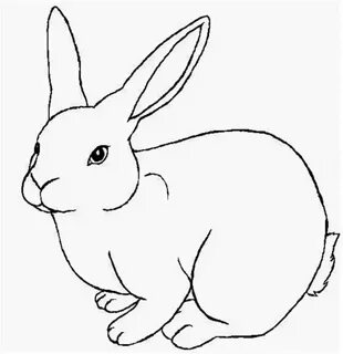 150 рисунков зайца для детей