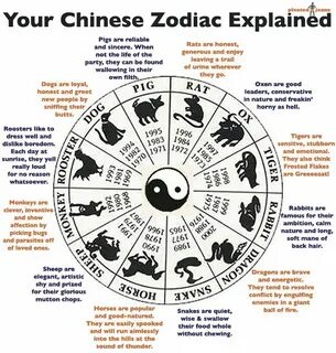 Your Chinese Zodiac Explained #astrology Chinese zodiac sign