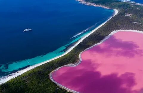 Розовые озера в Мексике Родственница Колумба Яндекс Дзен