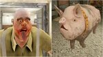Mr Meat And Pig Shotgun - YouTube