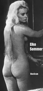 Elke Sommer Porn Pics acsfloralandevents.com