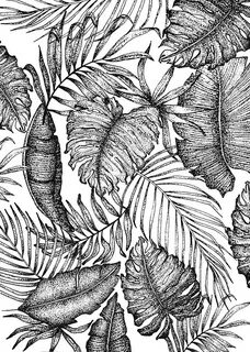 Tropical Leaf Print Drawing by Jessica Mileur Fine Art Ameri