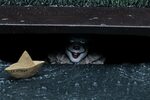 IT 2017 - Pennywise Accessory Pack Revealed - The Toyark - N