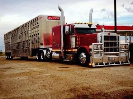 Peterbilt custom 389 bull hauler Been there and done that, o