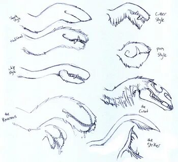 tail styles by tailmouth on DeviantArt Drawing examples, Art