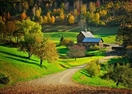 Красивые цвета осени в фотографиях