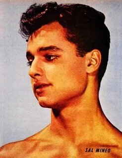 Sal Mineo Hollywood actor, Movie stars, Actors