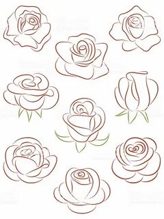 Set of roses. Vector illustration. royalty-free set of roses