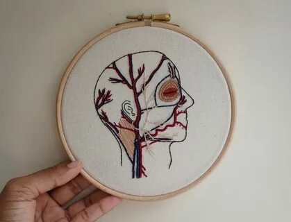 A Medical Student Creates Intricate Anatomical Embroideries 