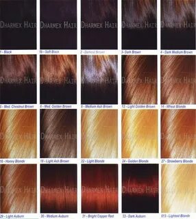 Hair Color Chart For Black Women Hairstyle Trend Hairstyle T