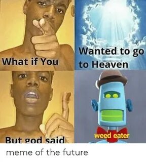 Wanted to Go to Heaven What if You Weed Eater but God Said M