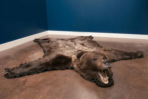 3' x 5' Grizzly Original Bear Faux Fur Bearskin Mountain Des