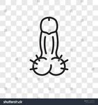 Penis Vector Icon Isolated On Transparent Stock Vector (Roya