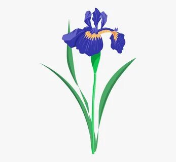 Iris Clip Art - Iris Flower Clip Art , Free Transparent Clip