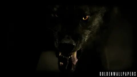 Dark Wolves Wallpapers posted by John Cunningham