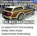 WHEN YOU WANTTO HITCROWDS AND WITH ALL YOUR MUSTANGBUDDIES M