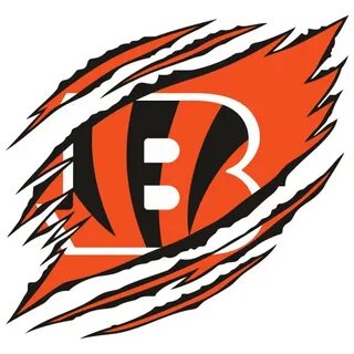 bengals - Transparent Images For Free Download