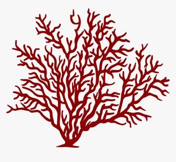 Watercolor Coral Png - Coral Clipart Png, Transparent Png , 